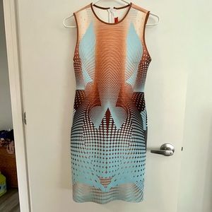 Clover Canyon body hugging dress